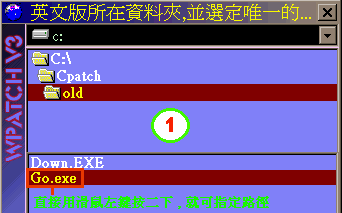 cpatch1071.gif (9323 bytes)
